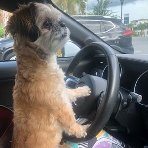 Meet your Posher, Claudia